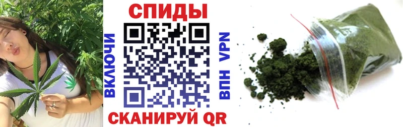 Бутират бутандиол дарнет шоп Суздаль
