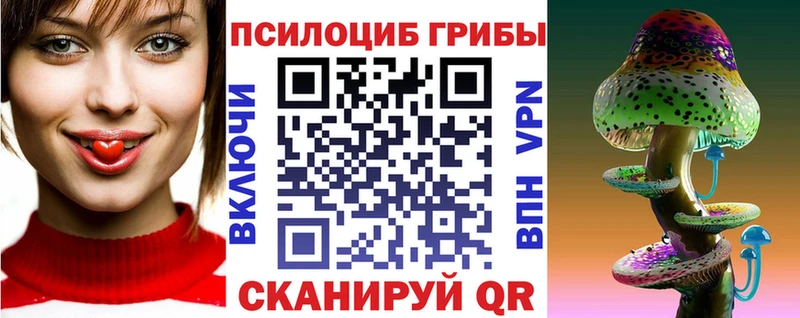 Галлюциногенные грибы Psilocybine cubensis  mega как войти  Суздаль 