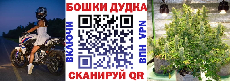 Бошки Шишки семена где найти Суздаль